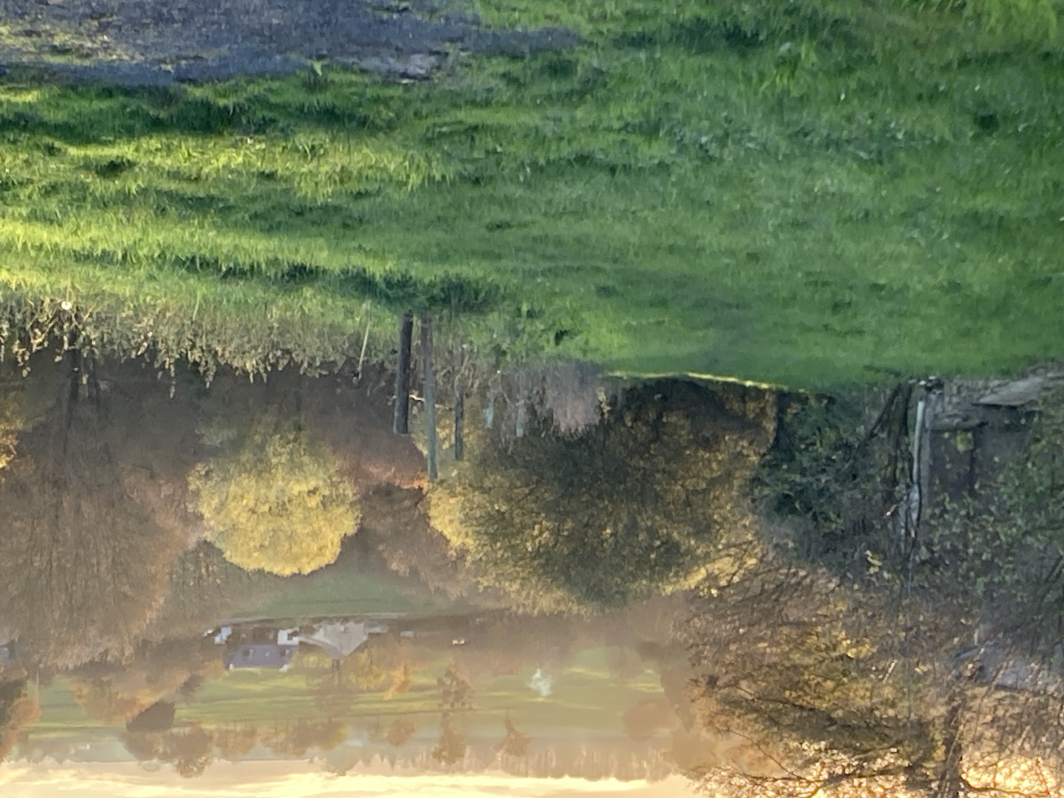 Paysage rural Bourgon (Mayenne)